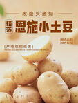 恩施土豆上市 