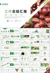營養(yǎng)美食美味板栗種植宣傳PPT