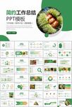 營養(yǎng)美食美味板栗種植宣傳PPT