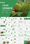 營養(yǎng)美食美味板栗種植宣傳PPT