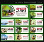 保護(hù)鳥(niǎo)類