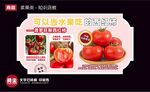 普羅旺斯西紅柿