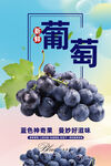 葡萄
