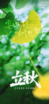 立秋時(shí)節(jié)綠意盎然景象