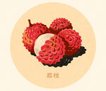 荔枝