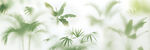 霧氣磨砂膜效果綠植貼圖