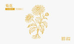 菊花