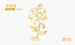 金銀花