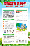 基孔肯雅熱
