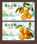金桔