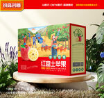 蘋果包裝 水果禮盒