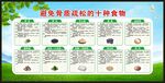 世界骨質(zhì)疏松日宣傳欄