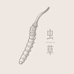 手繪蟲草圖