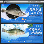 鱸魚