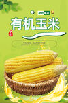玉米