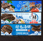 海參