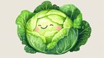 可愛(ài)卷心菜卡通形象