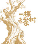 一棵老茶樹(shù)插畫圖案