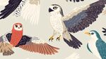 飛翔的多彩鳥類插畫