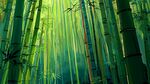 夢(mèng)幻翠綠竹林美景
