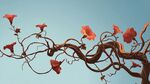 橙紅牽牛花纏繞枝干美景
