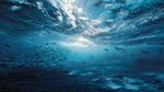 夢幻深海景象 群魚共舞