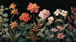 多彩花卉植物精美插畫(huà)