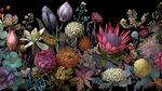 繽紛多彩花卉組合