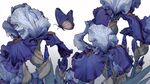 藍紫色鳶尾花間的蝴蝶