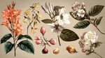 復古風花卉植物插畫素材