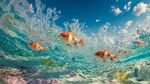 金魚暢游于波光粼粼水面