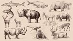 手繪野生動物集合插畫