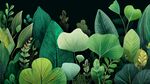 夢(mèng)幻綠植背景圖