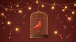 籠中紅鳥與浪漫燈光裝飾