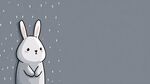 雨中白兔的可愛瞬間