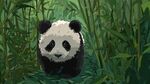 竹林中的可愛大熊貓