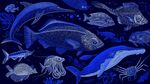 夢(mèng)幻海洋生物群像圖