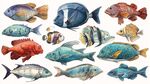 多彩海洋魚類插畫集合