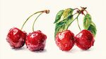 水潤紅櫻桃 水彩清新風(fēng)