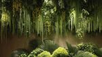 夢幻綠植垂掛景觀