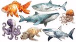海洋生物水彩插畫(huà)集合