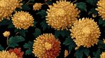 金黃菊花綠葉花卉圖案