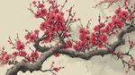 紅梅綻放枝頭