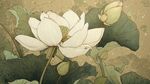 水墨風(fēng)盛開白荷圖