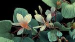 清新淡雅的花葉特寫