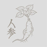 手繪人參圖案