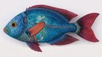 絢麗彩繪魚 靈動藝術(shù)之作