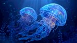 夢(mèng)幻深海中的發(fā)光水母