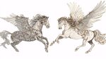 雙生羽翼天馬優(yōu)雅共舞