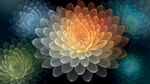 夢幻多彩透明花朵綻放